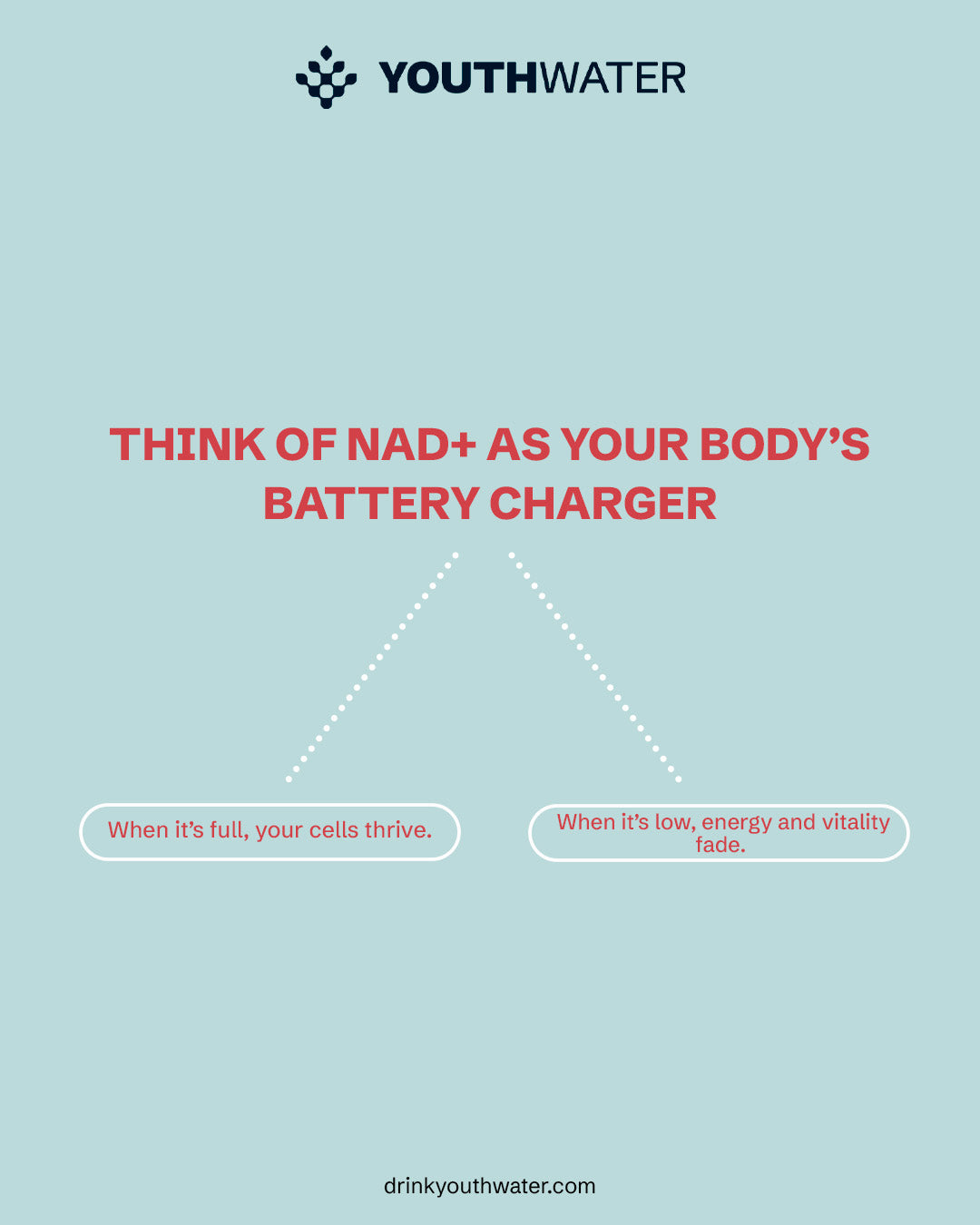 NAD+ Benefits and How to Increase NAD+ for Longevity