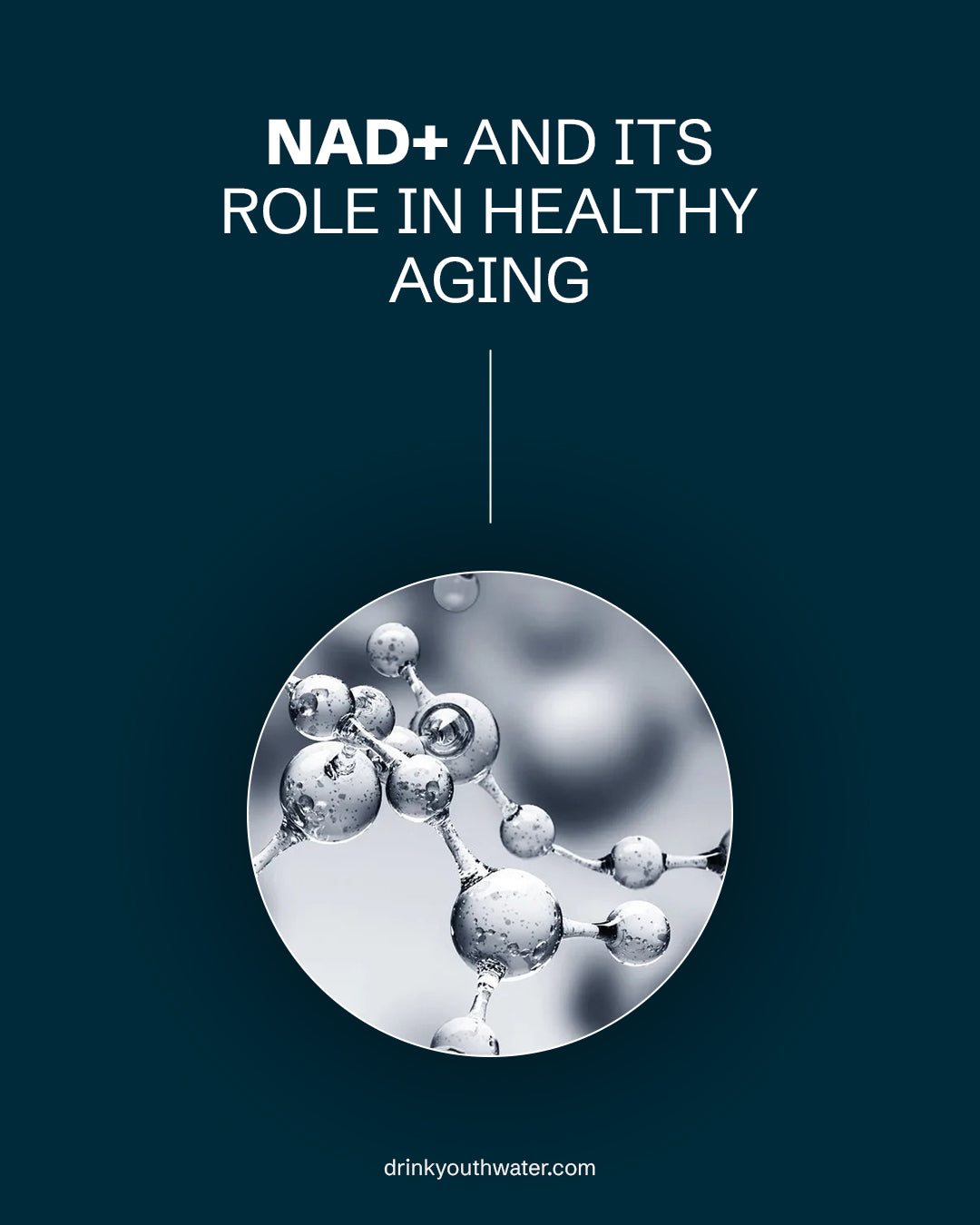 Oral NAD+ Supplements