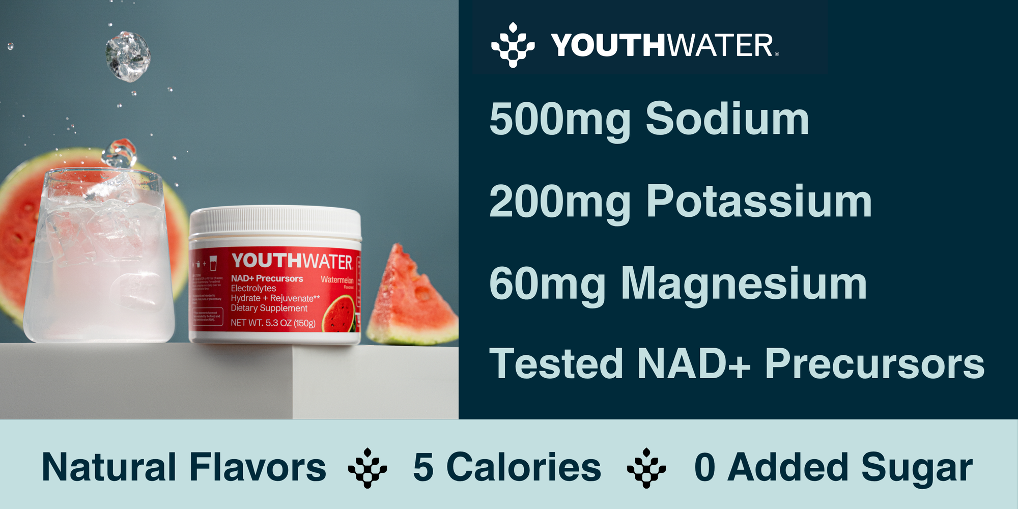 The Biohacker’s Stack: Why NAD+ Precursors and Electrolytes Belong in Your Daily Routine