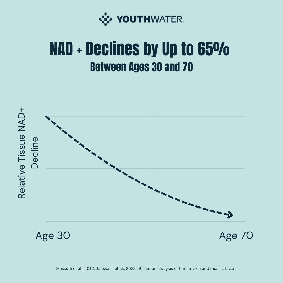 Understanding the Impact of Aging on NAD+ Levels